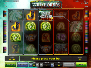 Wild Horses