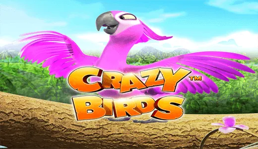 Crazy Birds