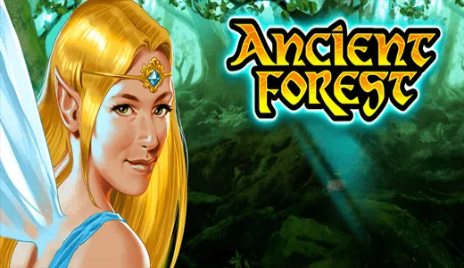 Ancient Forest