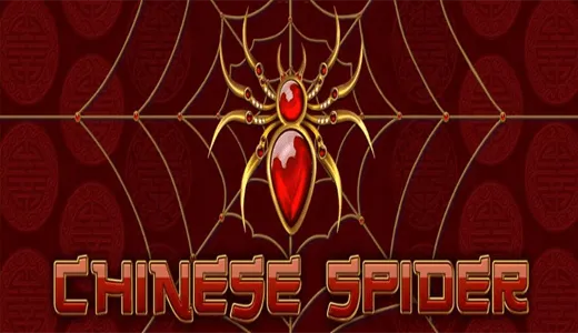 Chinese Spider