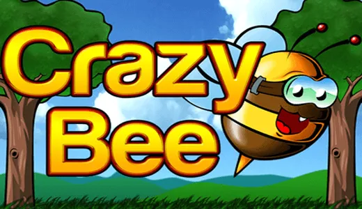 Crazy Bee