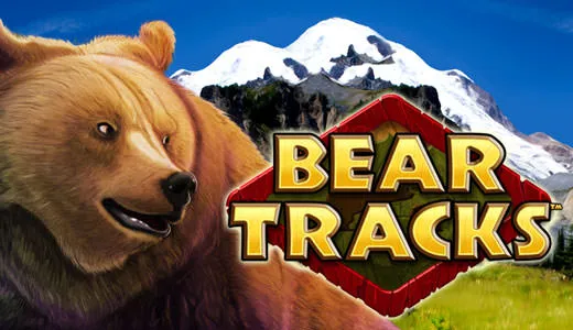 Bear Tracks