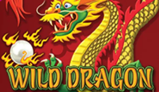 Wild Dragon