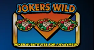 Wild symbolen Eurocoin slots